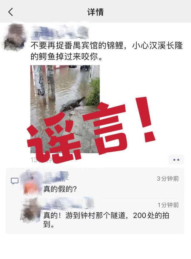广州长隆鳄鱼出逃?官方辟谣：不属实 不存在鳄鱼出逃情况-多多发布网(图2)