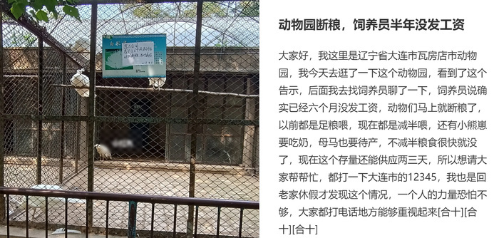 辽宁一动物园拖欠饲养员工资半年，动物将断粮？ 官方：情况属实-多多发布网(图1)
