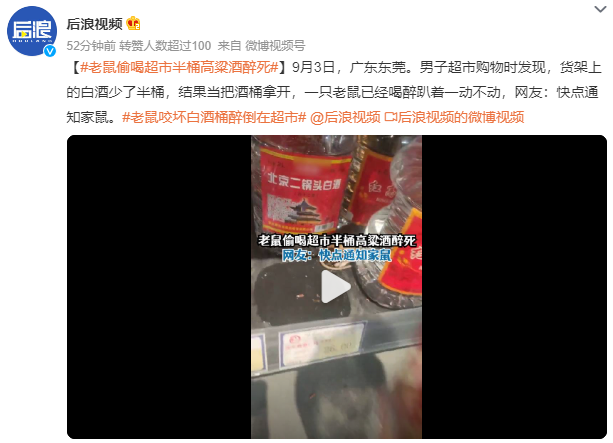QQ截图20230904170015