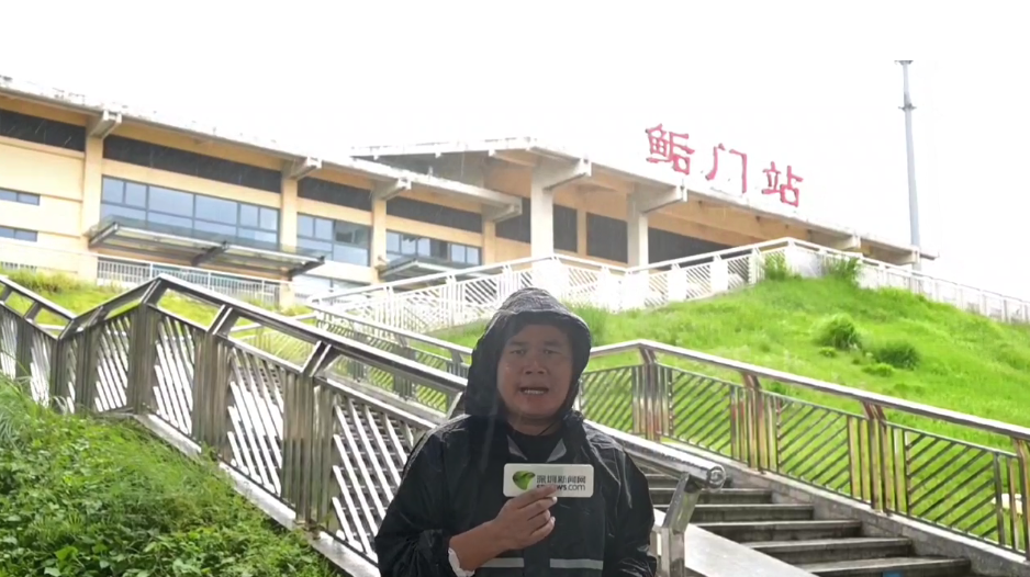 深圳今年首个台风红警已生效 2023深圳台风“苏拉”最新消息-多多发布网(图13)